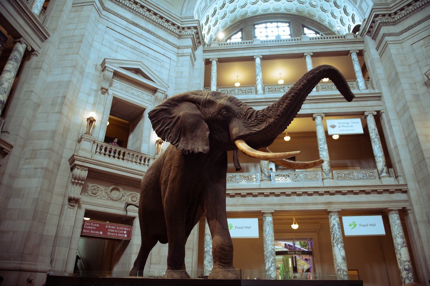 Photo: Srini Somanchi via Unsplash — museum gallery interior
