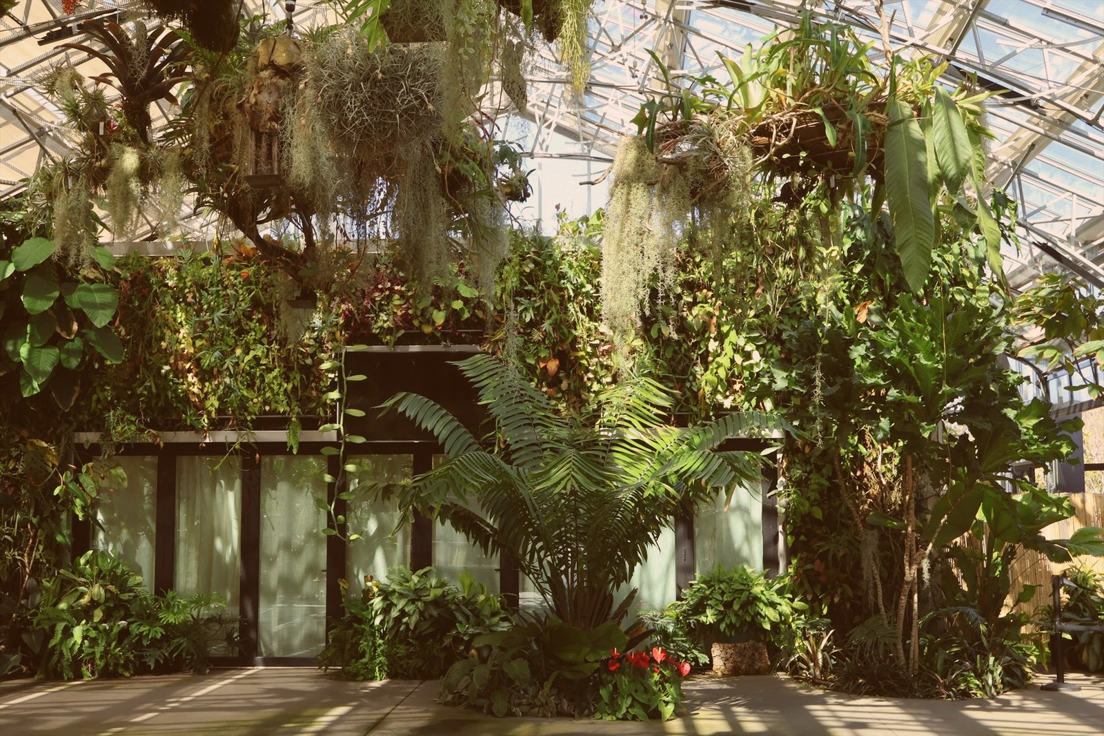 Greenhouse interior filled with lush green planting